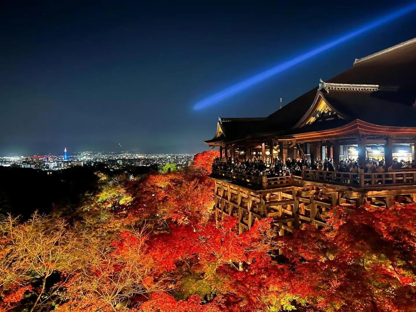 酒店 铃建仁寺酒店 京都