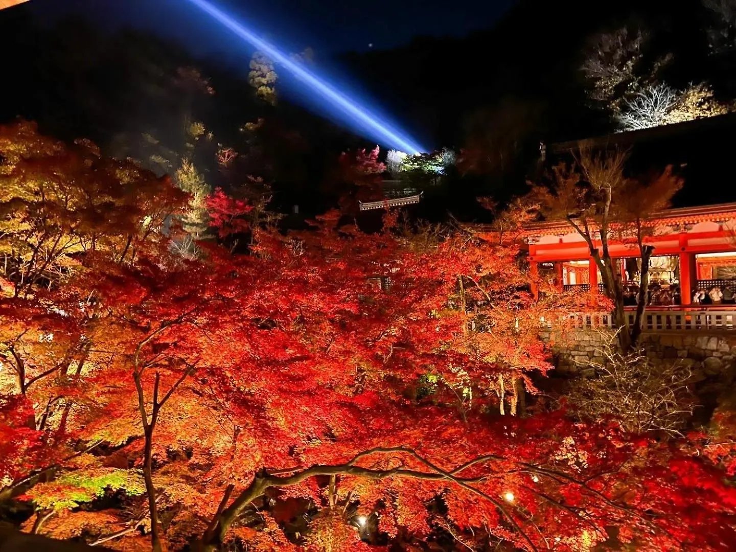 Rinn Gion Kenninji Kyoto Japan